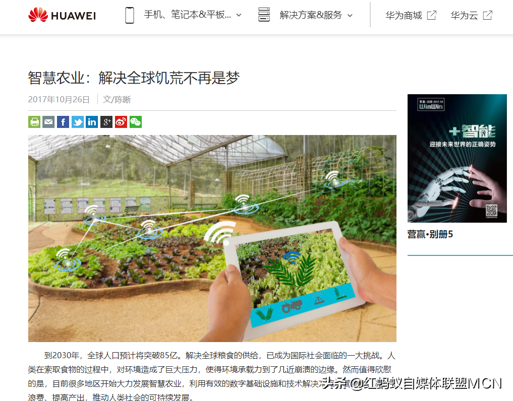 泰国香米种植技术_种植泰国香米致富_泰国香米种子价格