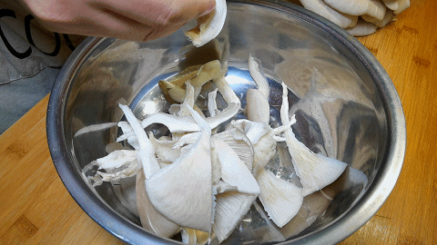 平菇的种植过程_秋季平菇种植技术视频_怎样种植平菇视频