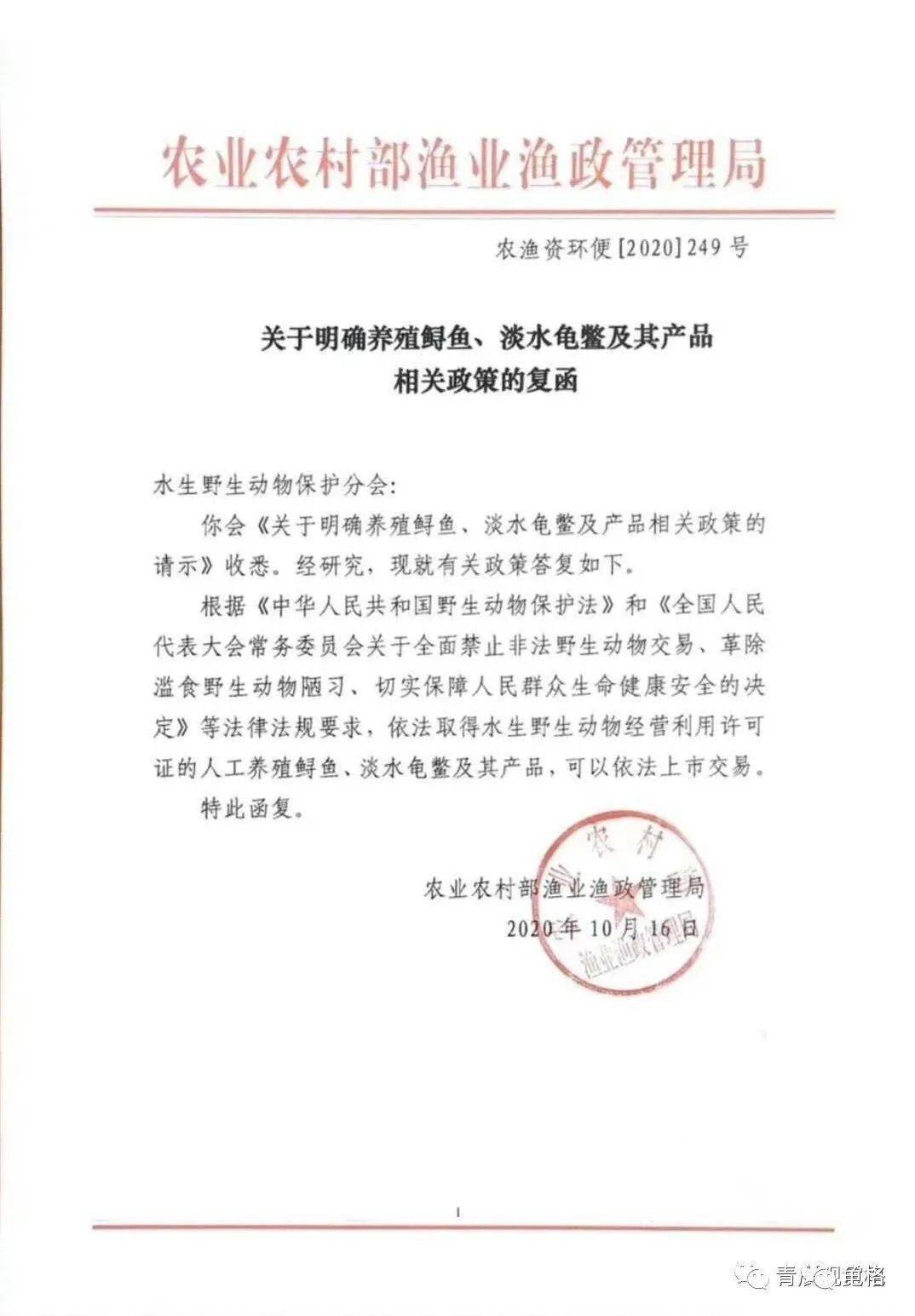 龟鳖养殖实用技术_水产养殖技术龟鳖_龟鳖养殖需要办什么证