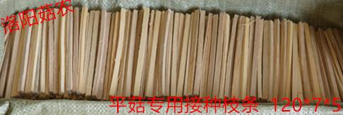 夏季平菇栽培技术_平菇种植技术视频播放_秋季平菇种植技术视频