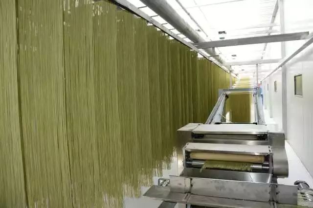 瓜致富种植佛手图片_致富经佛手瓜种植_佛手瓜种植致富经