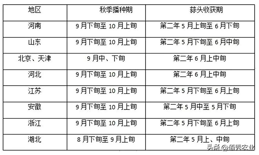 青祘种植技术_种植青椒图片_种植青菜图片