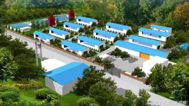 致富养殖好项目大全_家庭养殖致富视频_养殖视频致富经