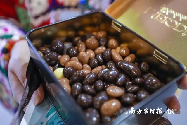 农村养殖狮头鹅的前景如何_狮头鹅养殖视频播放_致富经养狮头鹅视频