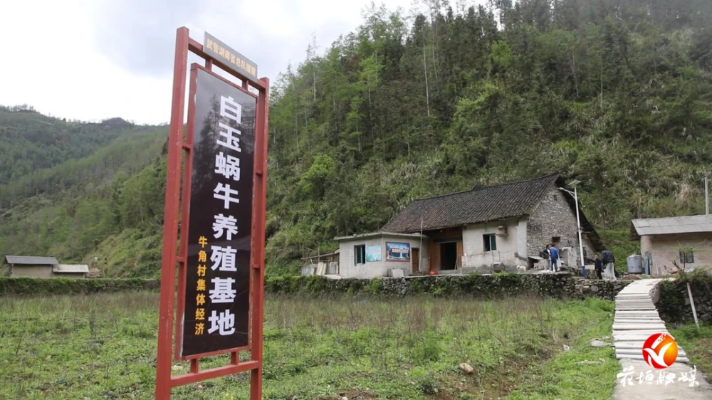 补抽乡牛角村：小蜗牛大产业 走出致富新路子