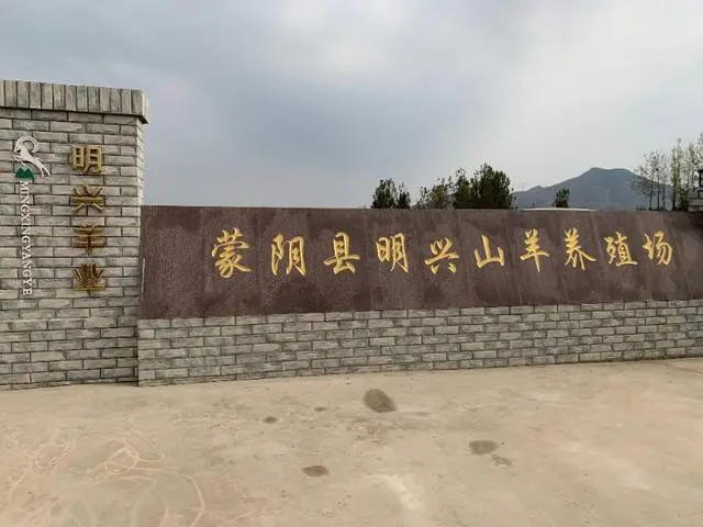 海岛养猪人_海岛村民养殖致富_海岛养猪有什么优势