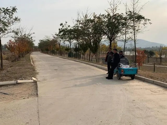 海岛养猪有什么优势_海岛村民养殖致富_海岛养猪人