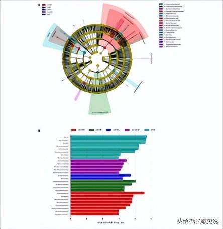 党参种植技术视频_党参种植方法视频_下载 党参种植技术.