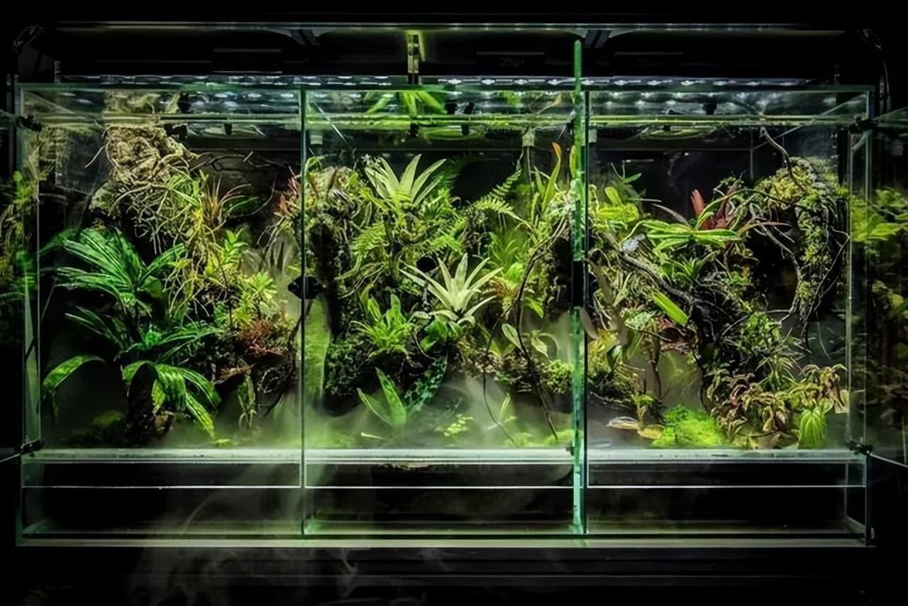 卖水草的小店叫什么_卖水草致富经_卖水草赚钱吗
