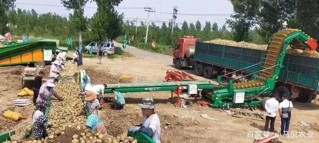 淀粉能生产什么_致富经淀粉_淀粉的价钱