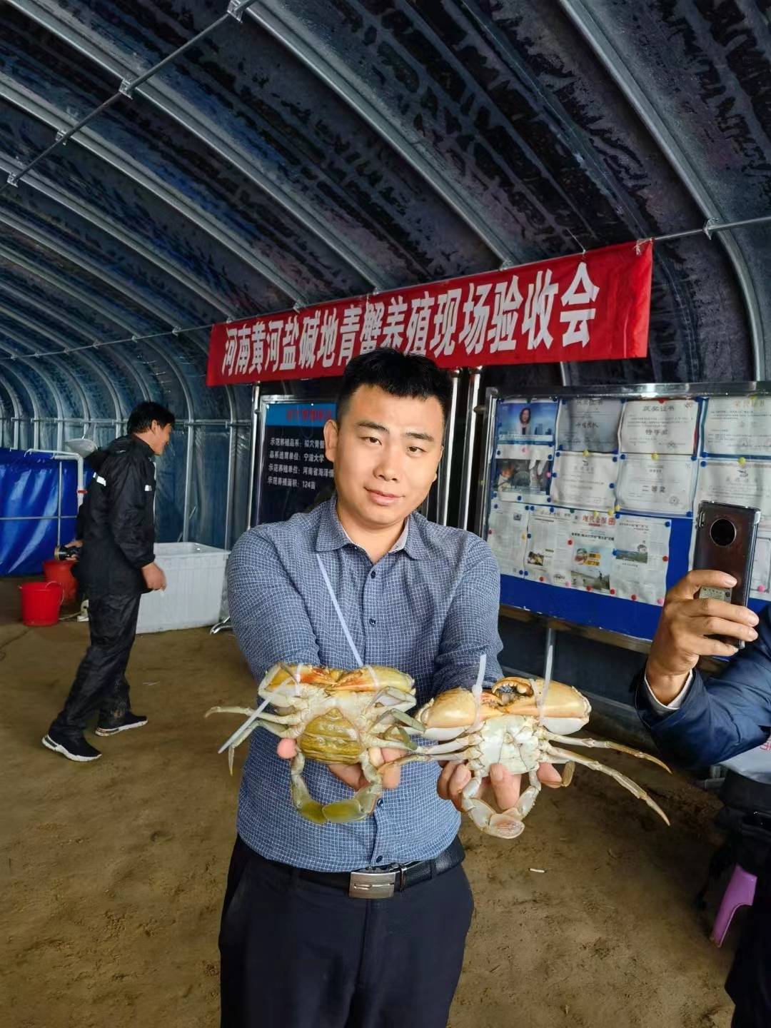 青蟹苗养殖视频_青蟹苗养殖技术_青蟹苗养殖技术与方法