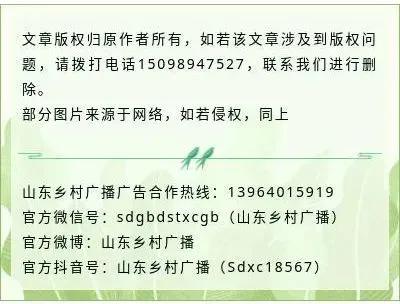 致富经养鸽子创业视频_致富经鸽子养殖_养鸽子致富经视频