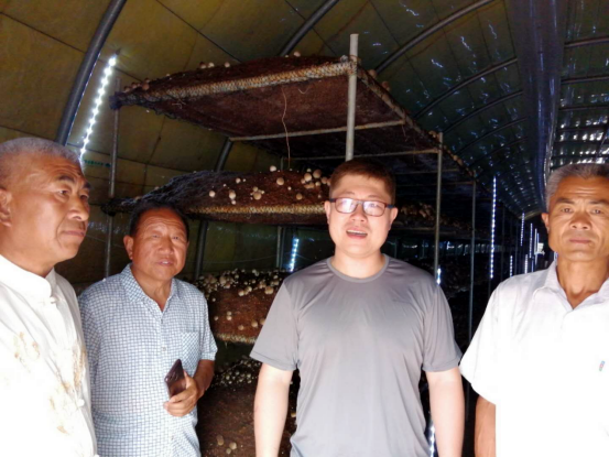 致富经养鸽子创业视频_致富经鸽子养殖_养鸽子致富经视频