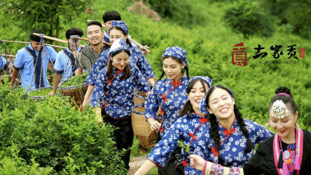 山莓种植基地_山莓种植致富_致富种植山莓视频