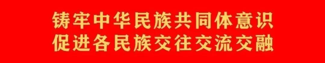致富经鸵鸟_鸵鸟 致富经_致富经鸵鸟养殖场的视频