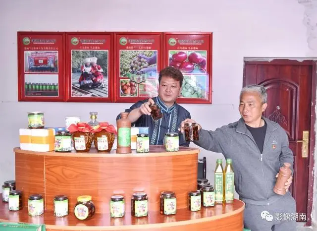 种黑老虎可以致富吗_黑老虎种植利润_种植黑老虎致富