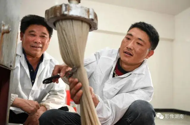 种植黑老虎致富_种黑老虎可以致富吗_黑老虎种植利润