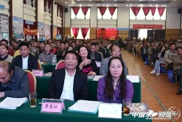 广东温室大棚_养殖温棚是怎么搭建的_广东温棚养殖技术
