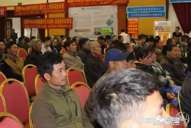 广东温棚养殖技术_广东温室大棚_养殖温棚是怎么搭建的