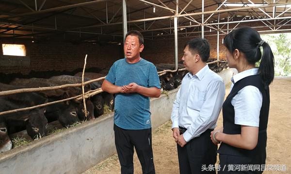 养驴视频致富经_致富经养驴节目_驴致富节目养猪视频