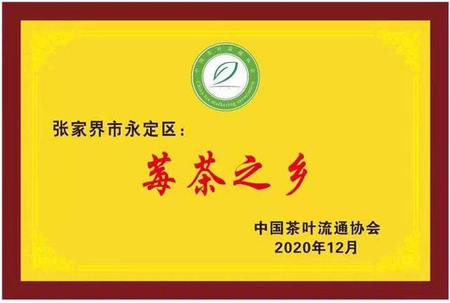 山莓种植致富_致富种植山莓怎么样_致富种植山莓图片