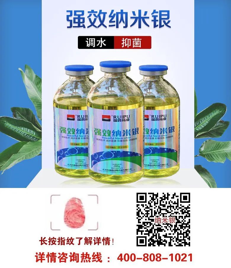 养殖温棚是怎么搭建的_广东温棚养殖技术_广东温室大棚