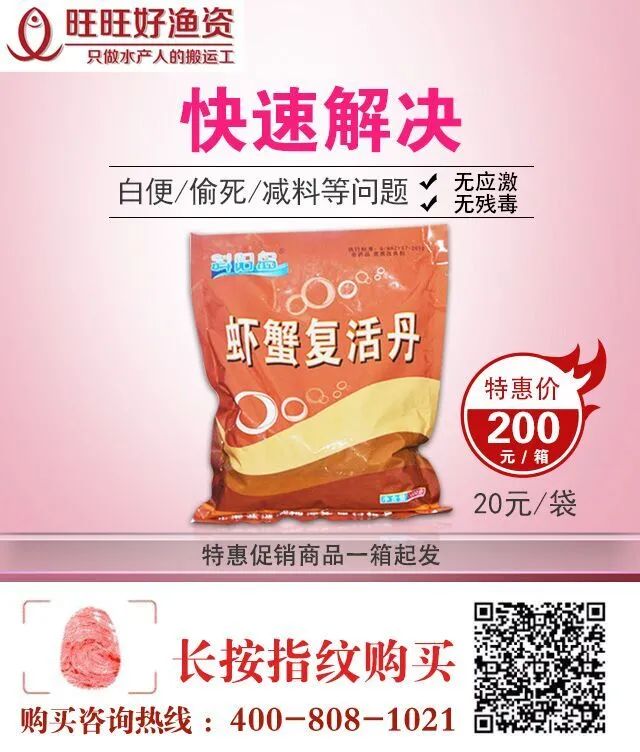 广东温棚养殖技术_养殖温棚是怎么搭建的_广东温室大棚