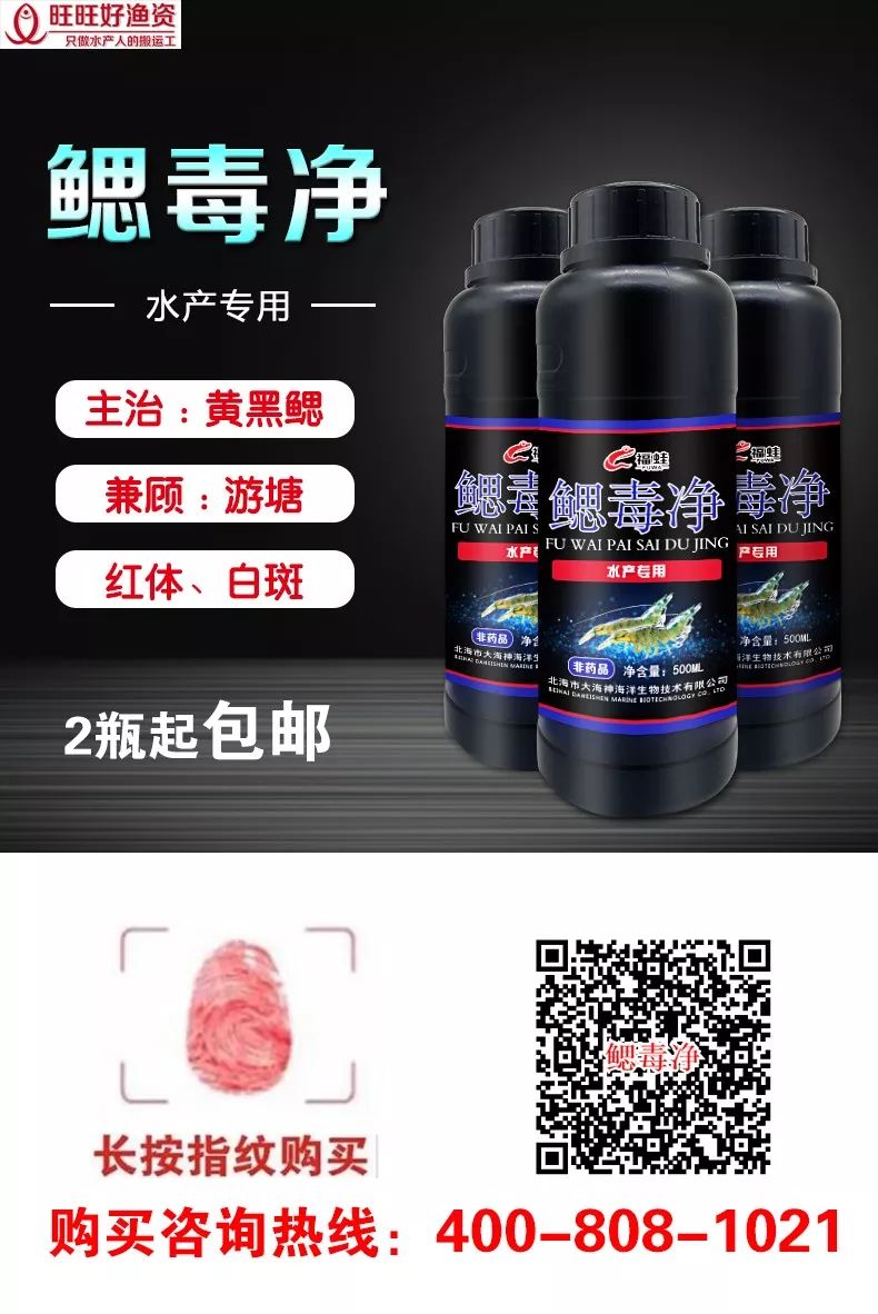 广东温室大棚_养殖温棚是怎么搭建的_广东温棚养殖技术