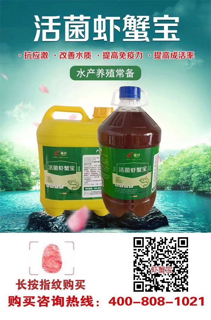 广东温棚养殖技术_广东温室大棚_养殖温棚是怎么搭建的