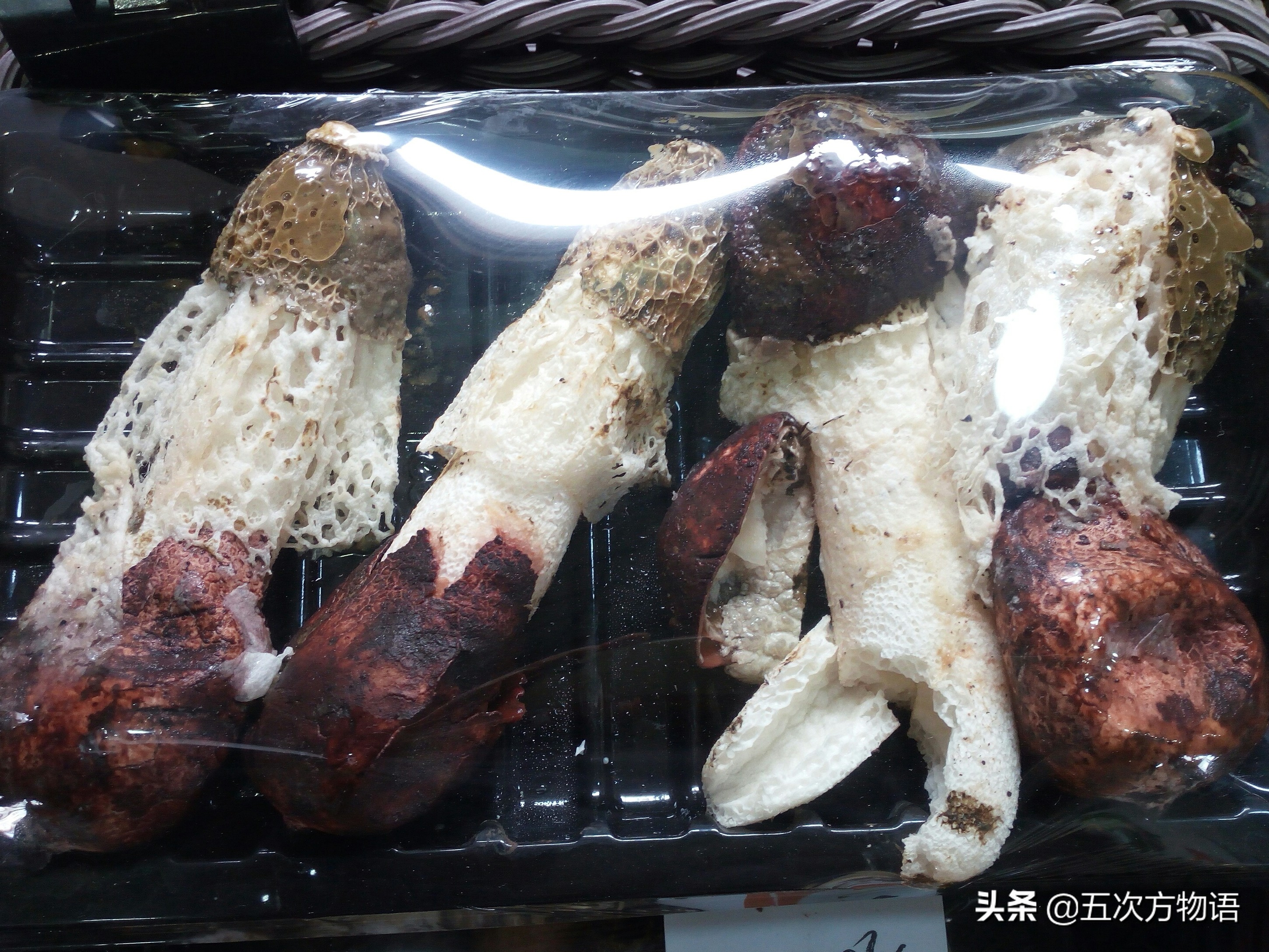 蘑菇种类大全及图片（23种菜市场常见菌菇）