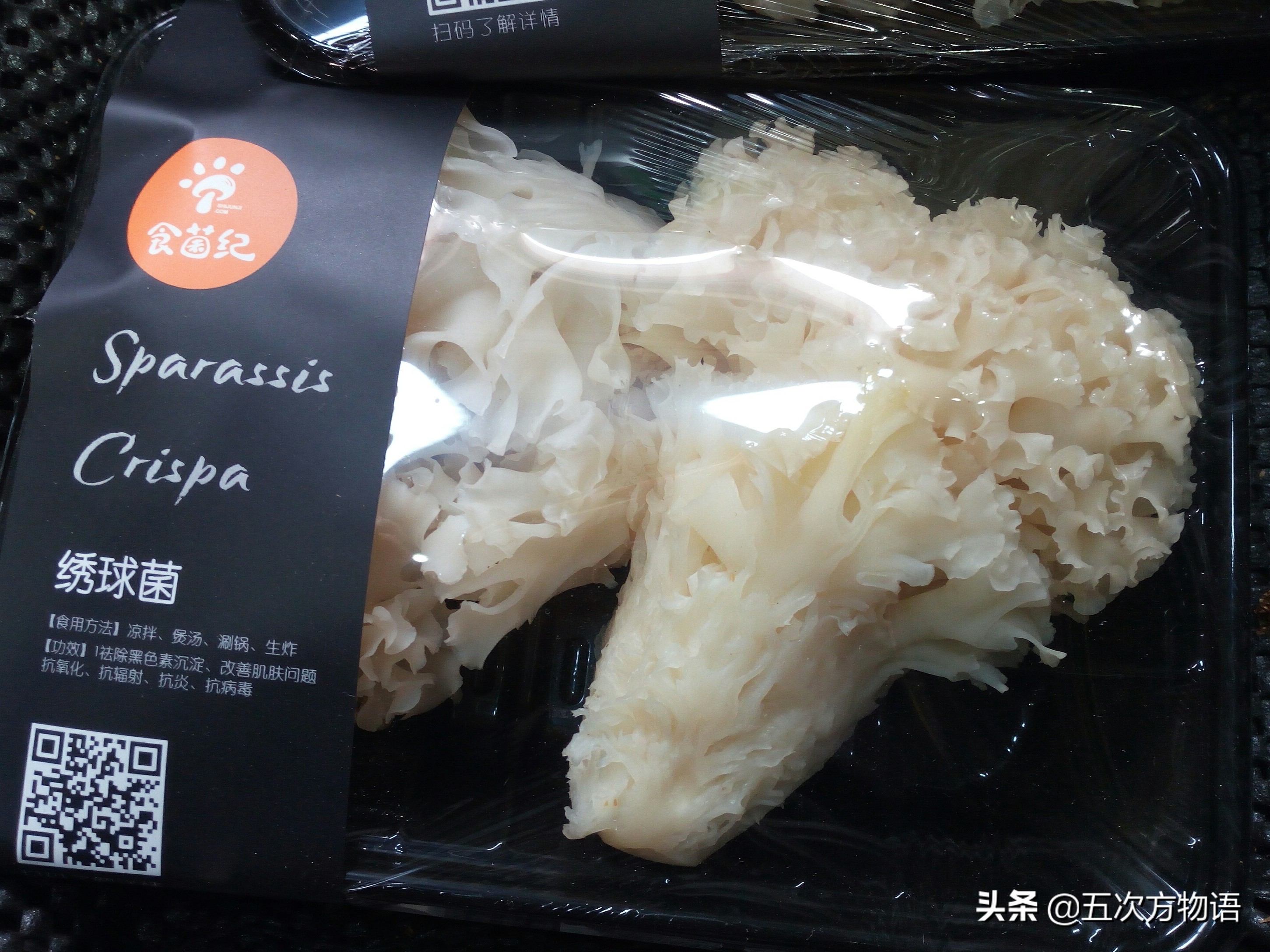 蘑菇种类大全及图片（23种菜市场常见菌菇）