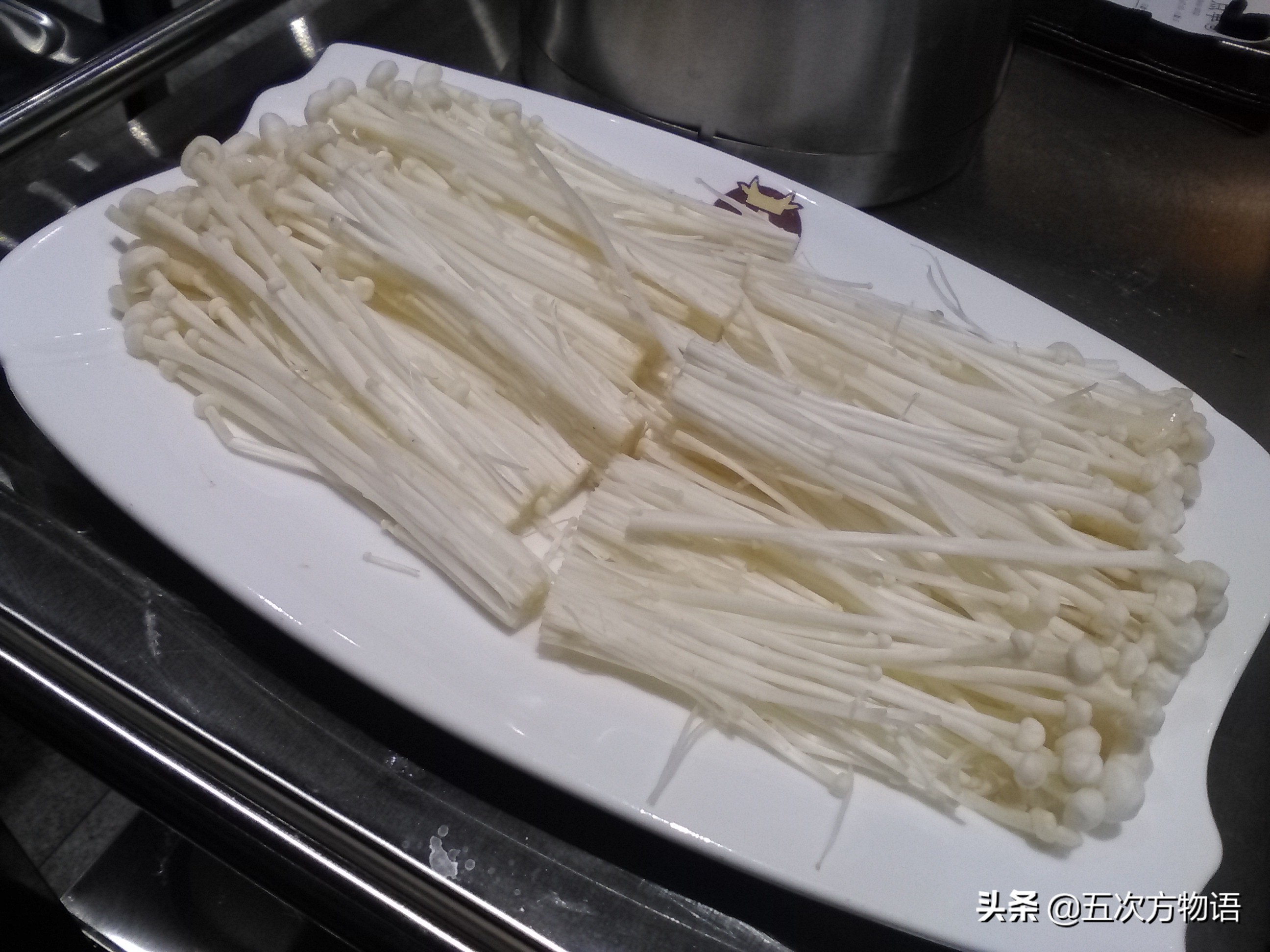 蘑菇种类大全及图片（23种菜市场常见菌菇）