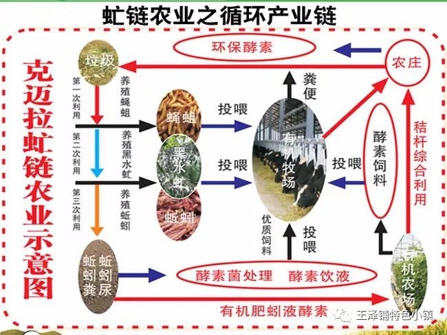 致富经蚯蚓室内立体养殖视频_中央七套致富经养蚯蚓_致富经蚯蚓养殖视频播放