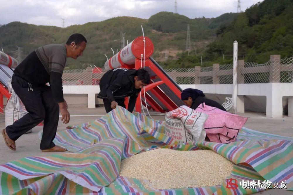 致富经养殖蜜蜂视频_悬崖蜜蜂养殖视频_致富经石崖上养蜜蜂
