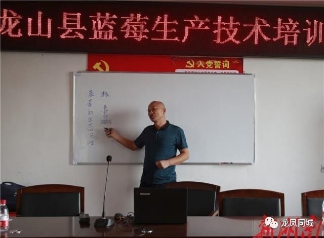 蓝梅种植与繁殖技术_蓝梅栽植技术_蓝梅如何种植与养护