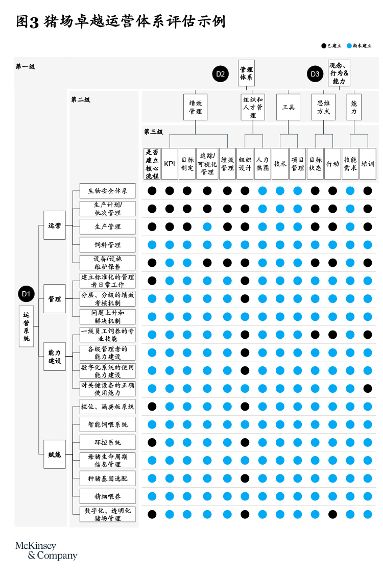 养殖野母猪技术要求_养殖野母猪技术视频_野母猪养殖技术