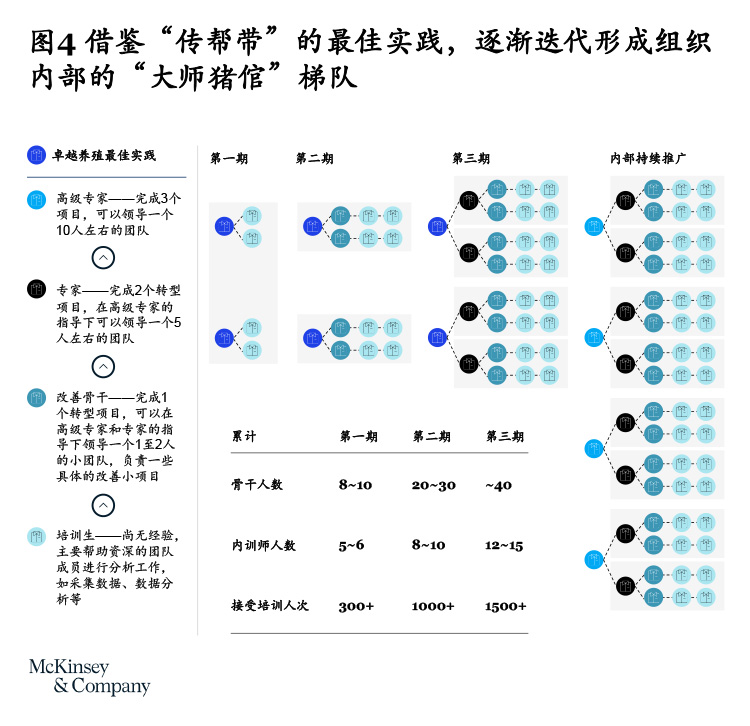 养殖野母猪技术视频_野母猪养殖技术_养殖野母猪技术要求