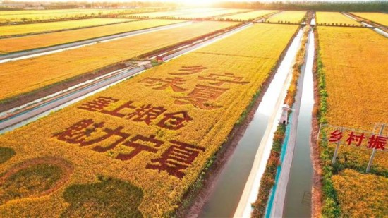 奋力谱写美丽新宁夏“三农”新篇章