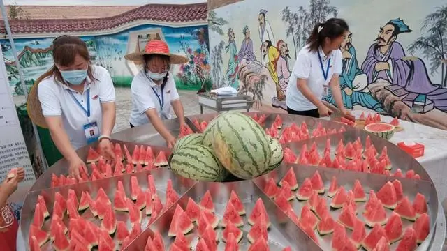 宁夏种植致富_宁夏种植养殖什么收益高_宁夏种植基地
