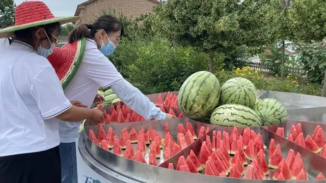 宁夏种植致富_宁夏种植养殖什么收益高_宁夏种植基地