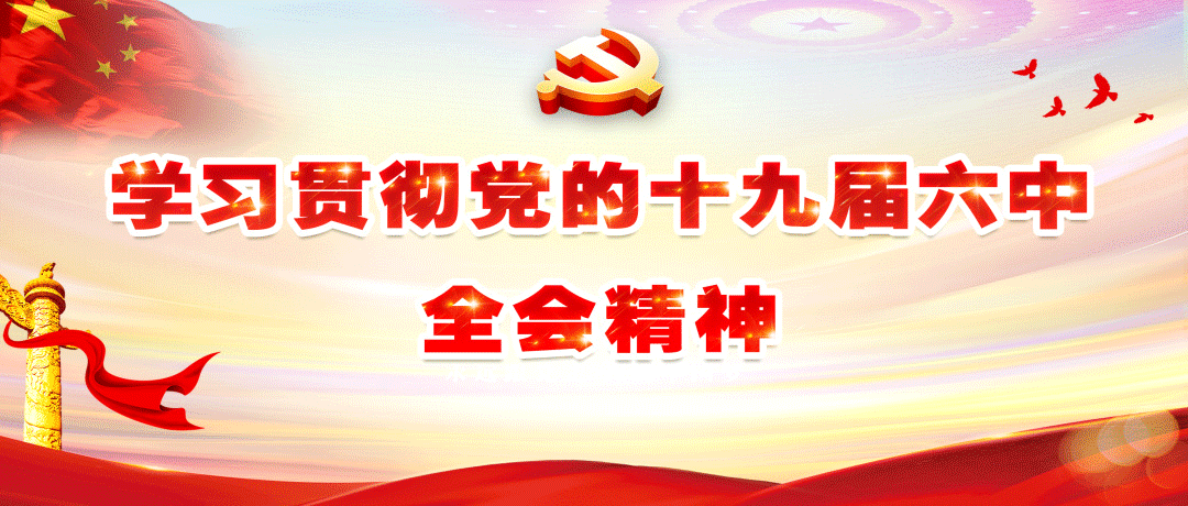 抓党建促产业振兴丨大棚里种出致富菜