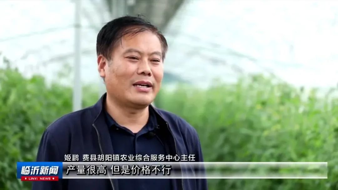 大埔种植致富项目_农村种植致富好项目_孝感农业致富种植各种水果网