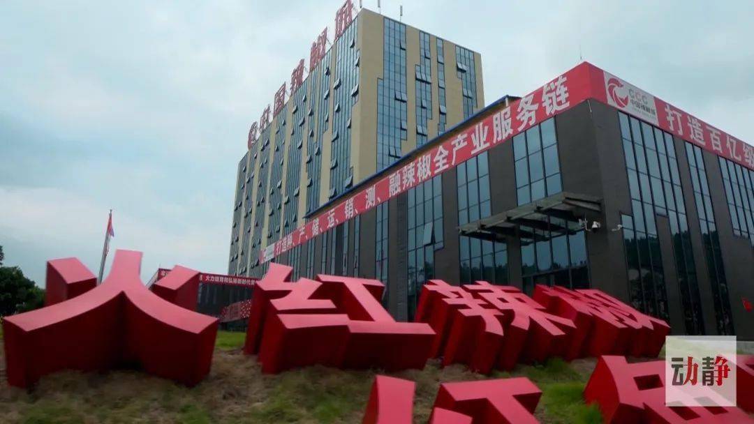 赤水养殖鸡致富_赤水乌鸡养殖基地_赤水市养殖政策