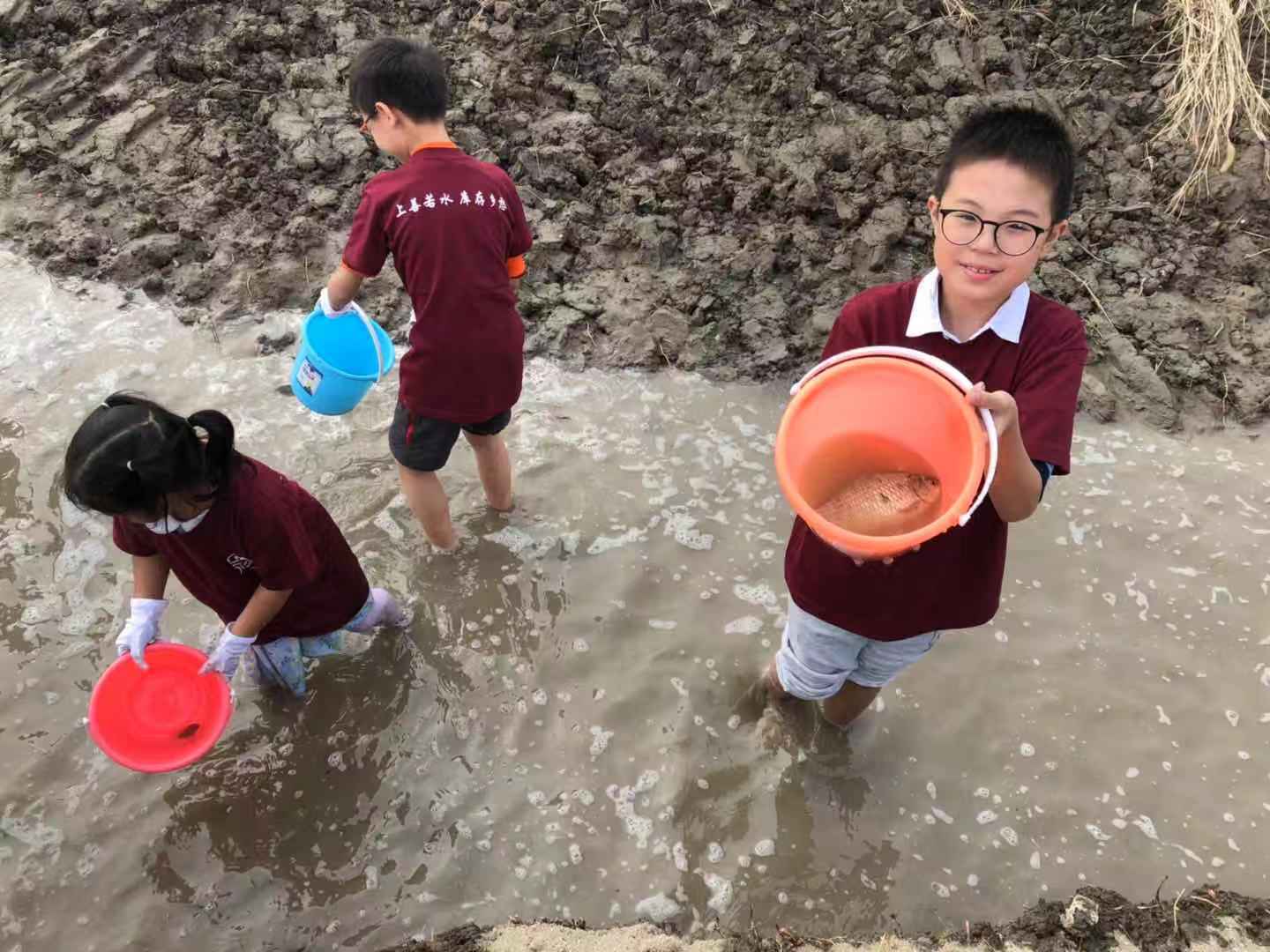 螺蛳养殖专业户_螺蛳养殖成本和利润_致富经大螺蛳养殖