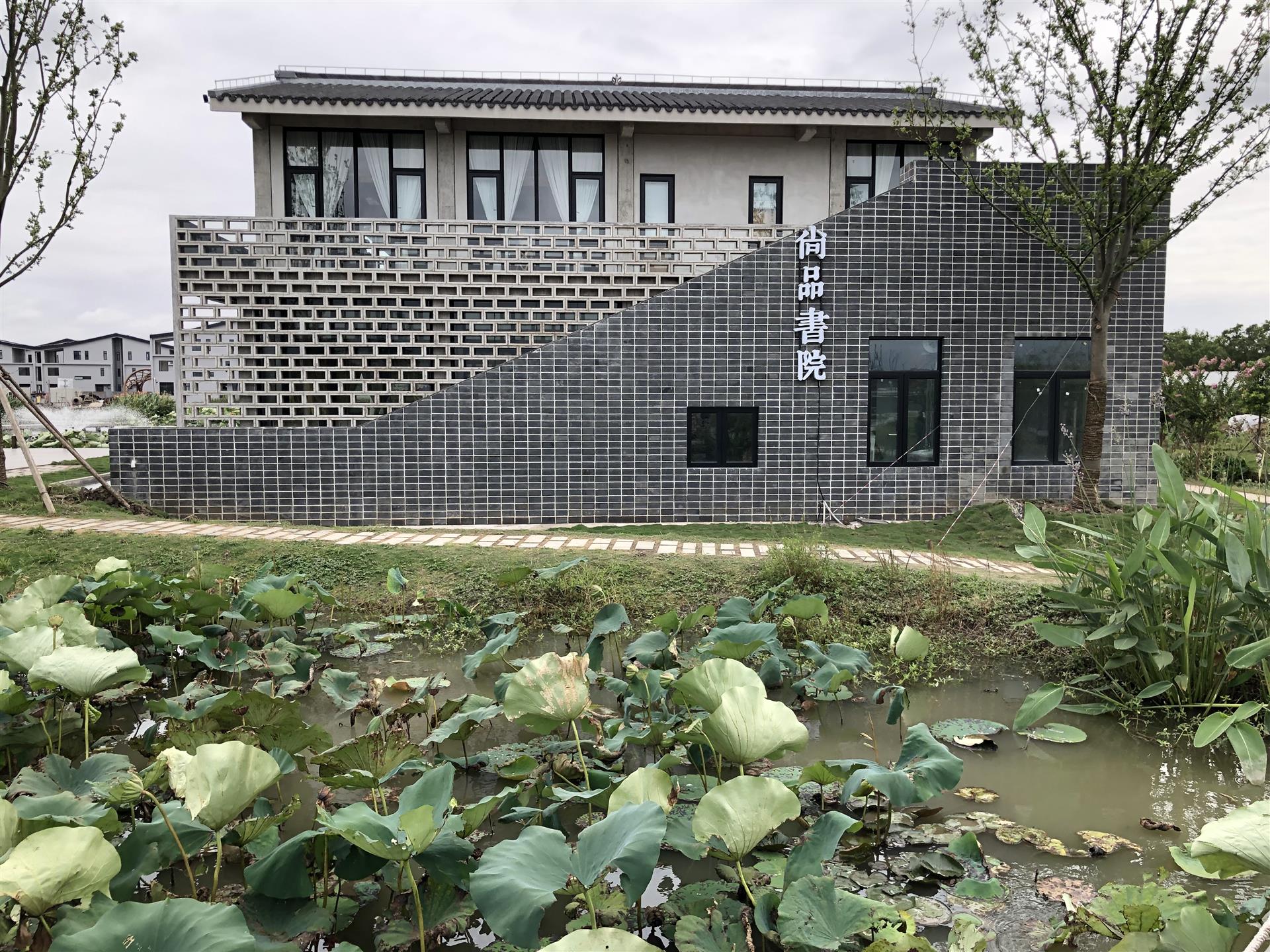 螺蛳养殖成本和利润_螺蛳养殖专业户_致富经大螺蛳养殖