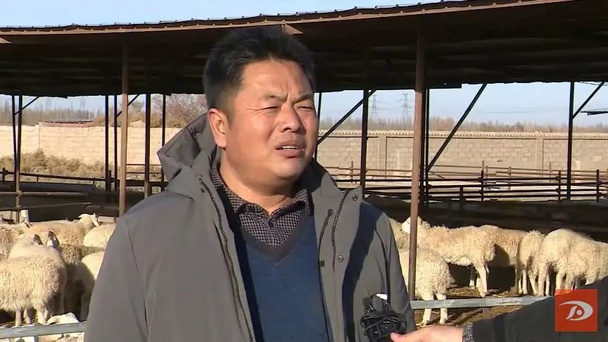 庭院致富经验案例_庭院养殖致富新闻_小庭院养殖致富案例