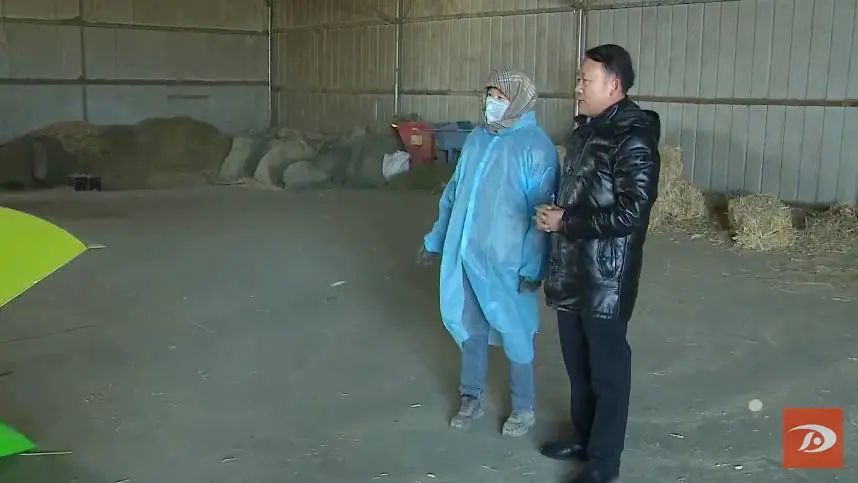 庭院致富经验案例_庭院养殖致富新闻_小庭院养殖致富案例