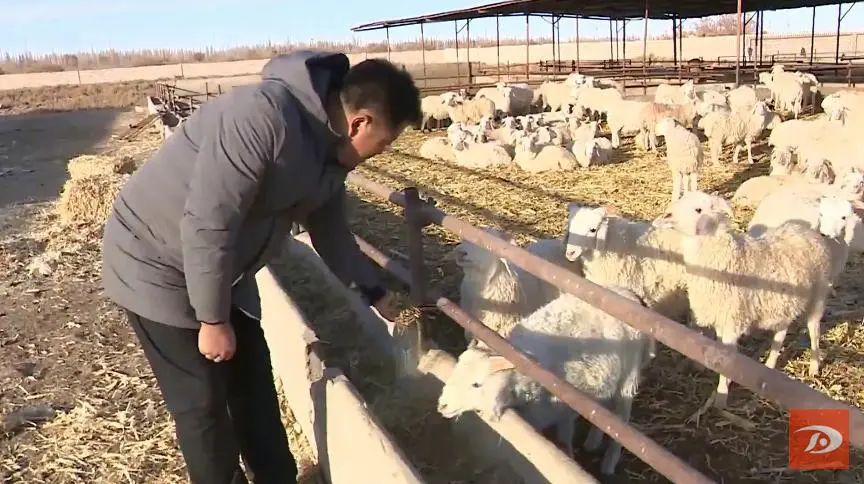 小庭院养殖致富案例_庭院养殖致富新闻_庭院致富经验案例