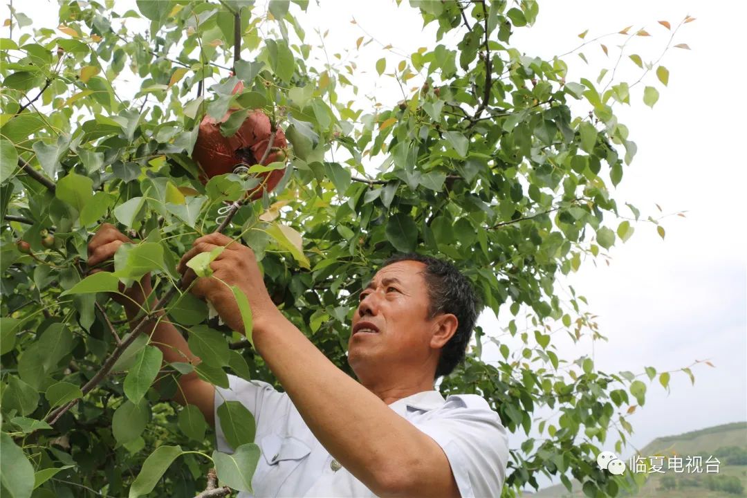 电商致富带头人宣传语_做电商致富经_致富经电商