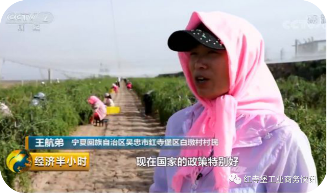 致富网商机_电商致富带头人宣传语_做电商致富经
